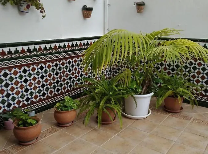 - Boliches - Fuengirola